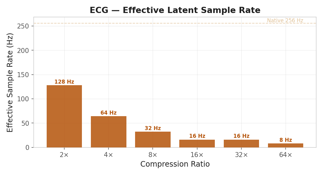ECG effective latent sample rate